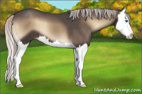 Horse Color:Silver Blue Onyx Splash 