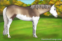 Horse Color:Silver Blue Onyx Splash 