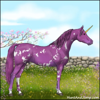 Horse Color:Watercolor White Spotted Chestnut 