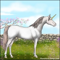 Horse Color:Platinum Gold Champagne Roan Appaloosa 