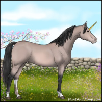 Horse Color:Platinum Bay Appaloosa 