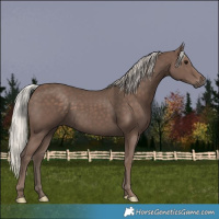 Horse Color:Silver Black 