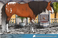 Horse Color:Bay Snowcap  and Bay Splash 