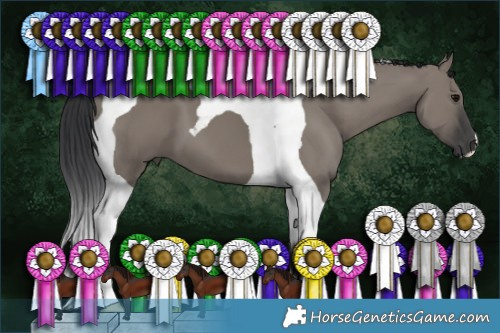 Horse Color:Grullo Tobiano