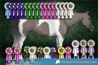 Horse Color:Grullo Tobiano 