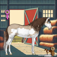 Horse Color:Liver Red Dun Splash Frame 