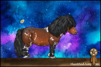 Horse Color:White Spotted Brown