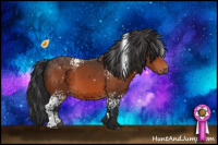 Horse Color:White Spotted Bay 