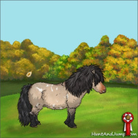 Horse Color:White Spotted Bay Dun 