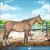 Horse Color:Silver Bay Dun Rabicano