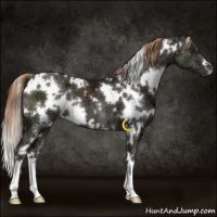 Horse Color:White Spotted Liver Chestnut Ice 