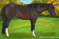 Horse Color:Brown 