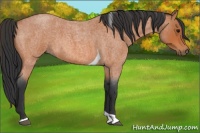 Horse Color:Bay Roan Tobiano 