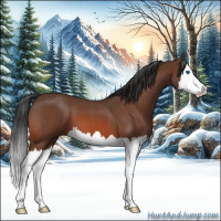 Horse Color:Bay Roan Splash