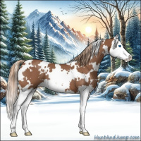 Horse Color:White Spotted Red Roan Splash 