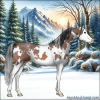 Horse Color:White Spotted Bay Roan Splash 