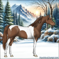 Horse Color:Chestnut Tobiano 
