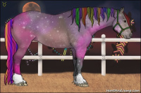 Horse Color:Painted Bay 