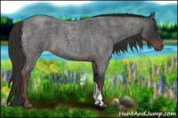 Horse Color:Liver Red Roan
