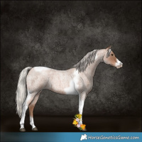 Horse Color:Silver Blue Roan Pearl Tobiano Frame 