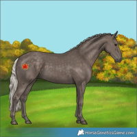 Horse Color:Silver Black 