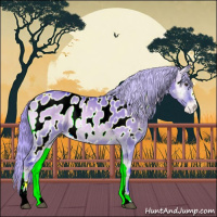 Horse Color:Watercolor Liver Red Dun Onyx Sabino Appaloosa 