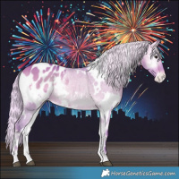 Horse Color:Watercolor White Spotted Silver Bay Onyx Appaloosa 