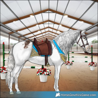 Horse Color:White Spotted Liver Chestnut Mushroom Sabino Appaloosa 
