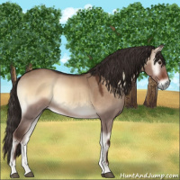 Horse Color:Liver Red Dun Onyx