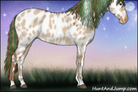 Horse Color:Painted Red Dun Appaloosa 