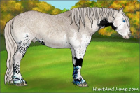 Horse Color:Silver Blue Onyx Ice Splash 