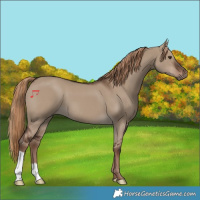 Horse Color:Liver Red Dun 