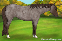 Horse Color:Liver Red Roan 