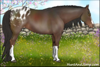 Horse Color:Liver Chestnut Blanket 