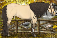 Horse Color:Buckskin Dun 