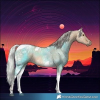 Horse Color:Silver Bay Ice Dun Tobiano 