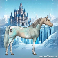 Horse Color:Silver Bay Ice Dun Tobiano