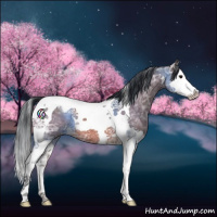 Horse Color:Bay Ice Roan Splash Tobiano 