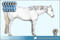 Horse Color:Smoky Black Pearl Sabino Splash