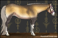 Horse Color:Silver Smoky Blue Onyx