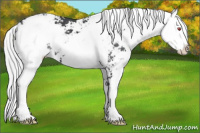 Horse Color:Silver Black Chinchilla Sabino