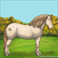 Horse Color:Gold Champagne Dun 