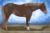 Horse Color:Liver Chestnut  and Liver Chestnut 