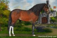 Horse Color:Bay  and Brown 