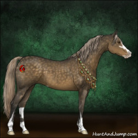 Horse Color:Chocolate Palomino Sabino 