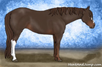 Horse Color:Liver Chestnut  and Liver Chestnut 