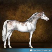 Horse Color:Liver Red Onyx Mushroom Splash Frame Brindle