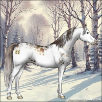 Horse Color:Liver Red Onyx Sabino Splash 