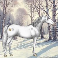 Horse Color:White Spotted Silver Black Chinchilla Ice Splash Tobiano 