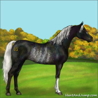Horse Color:Midnight Liver Chestnut Mushroom Rabicano